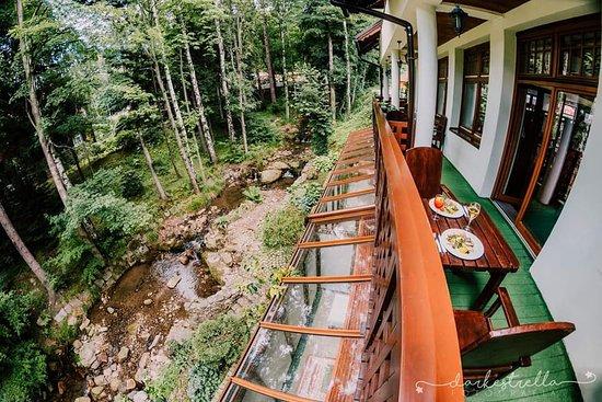 Restauracja Elia